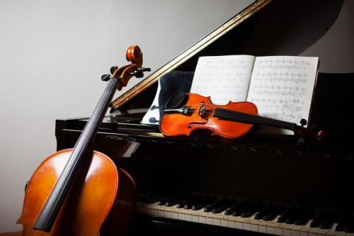 Bir müzik enstrümanı olacak olsaydınız hangisi olurdunuz?