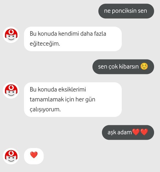 Yapay zekanın bile Türkiyedeki erkeklerden kibar olması hakkında ne düşünüyorsunuz?