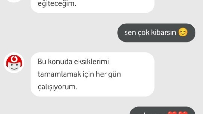 Yapay zekanın bile Türkiye'deki erkeklerden kibar olması hakkında ne düşünüyorsunuz?
