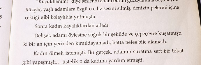 Şöyle bir son istiyorum sizce kötü bir şey mi?