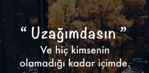 Uzaktan sevdiğiniz birine bir şarkı bırakmak isteseniz bu ne olur?