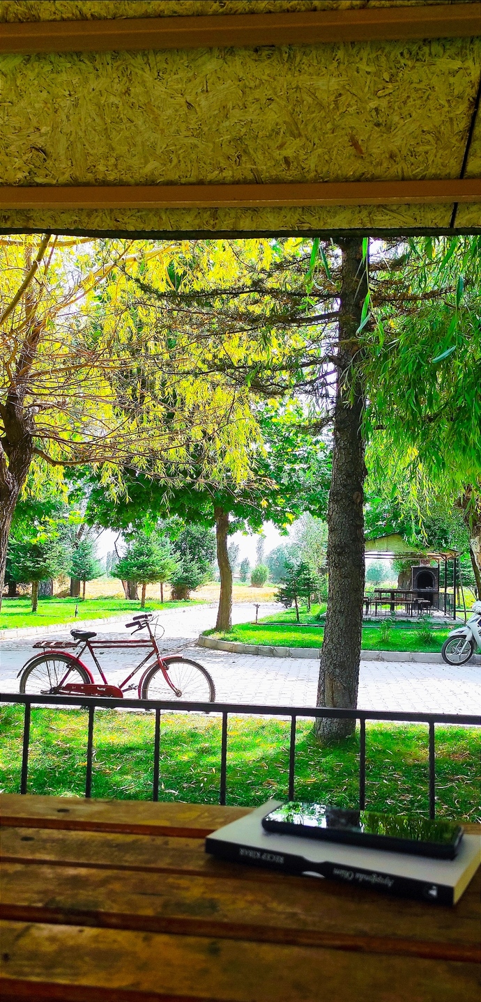 Galerinizde bulunan, çektiğiniz en güzel fotoğraf hangisi?