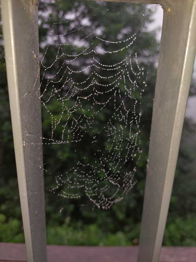şu güzelliğe bakar mısıın