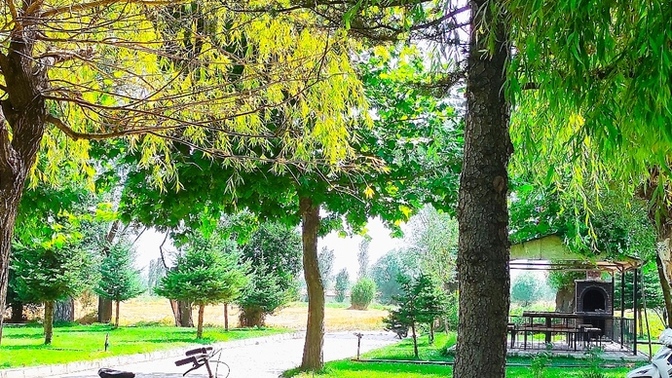 Galerinizde bulunan, çektiğiniz en güzel fotoğraf hangisi?