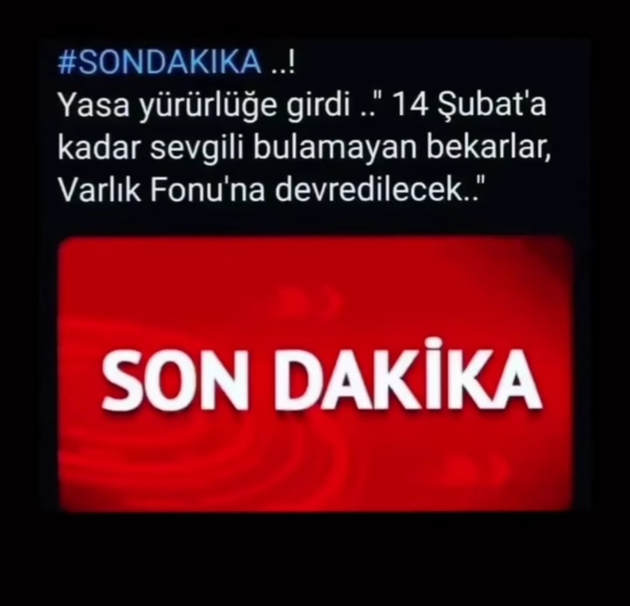 BU senede 14 şubata yanliz girecek müzmin bekarlar burada mi