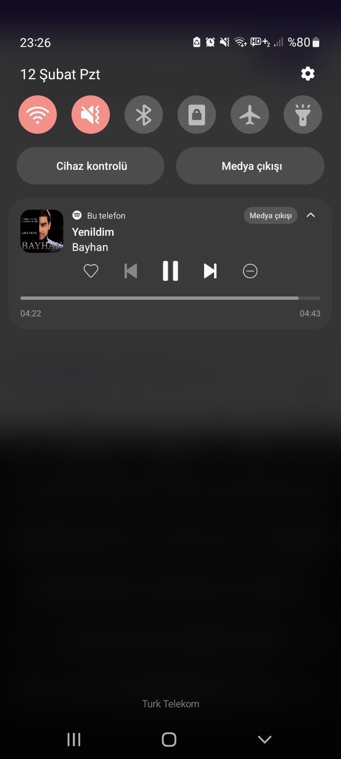 Müzik önerisi yapabilirsiniz 😘 öptüm bay?