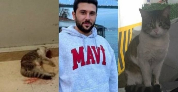 Bunu dışarıda görseniz adam zannedersiniz dime?