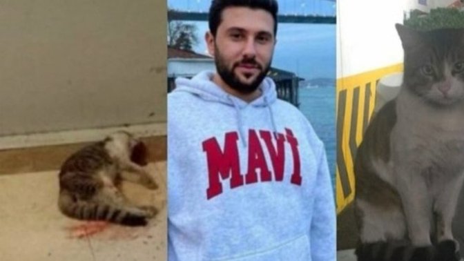 Bunu dışarıda görseniz adam zannedersiniz dime?