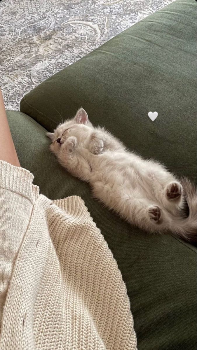 Uyandığında daha çok çalışabilmek uğruna uyumak, acınası bir yaşam biçimi midir?