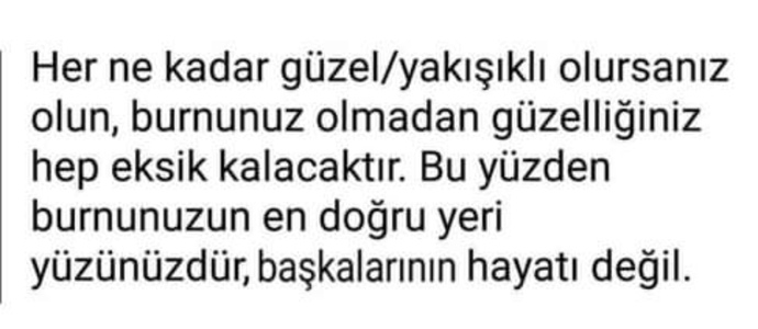 Burnunuzu her yere her şeye sokarmısınız