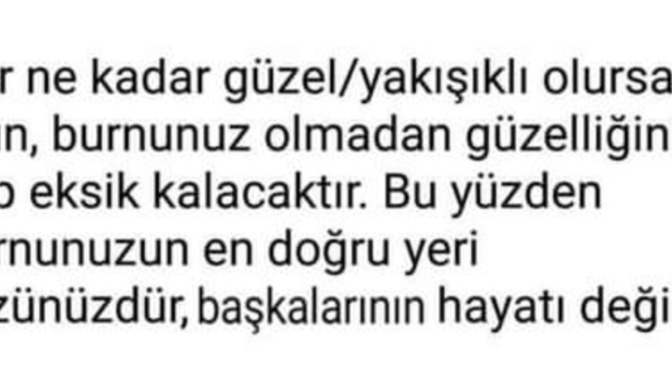 Burnunuzu herseye sokarmısınız?