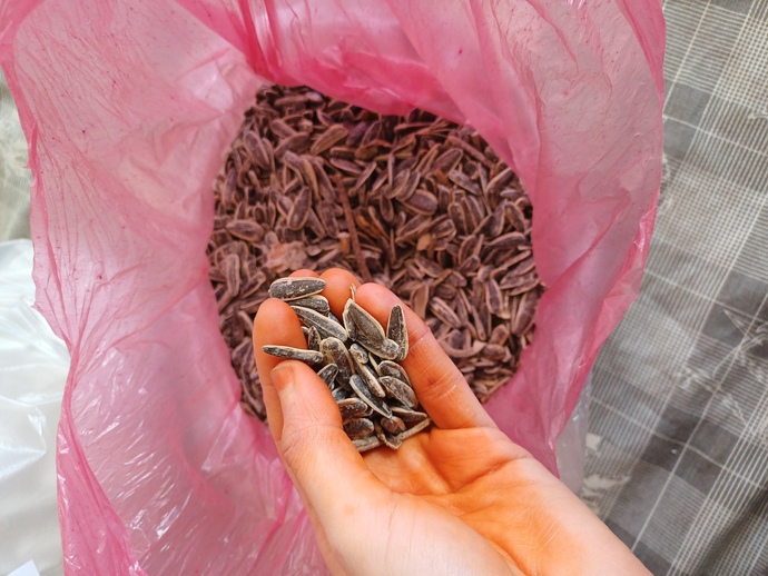 Sıkılıp bunalınca nasıl geçer?