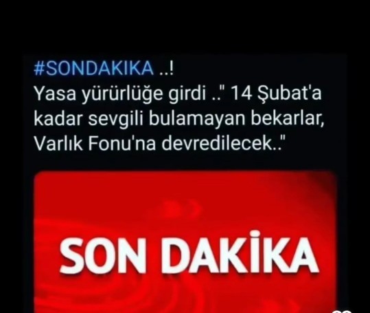 14. Şubatta neler yapıyorsunuz?