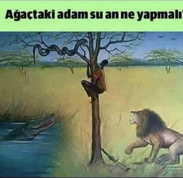 Bu görselin cevabını bilen var mı😂?