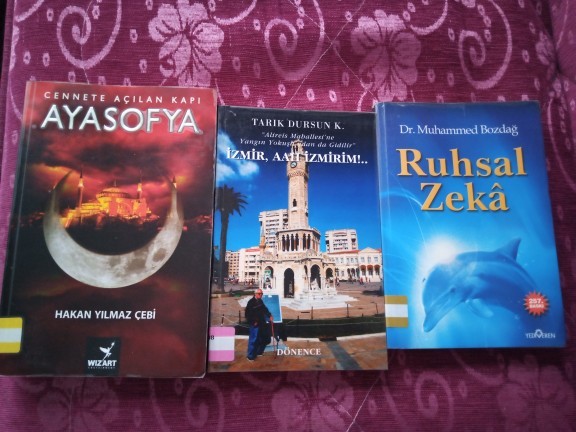 Kütüphaneden 3 kitap aldım nasıl bunlar sizce?