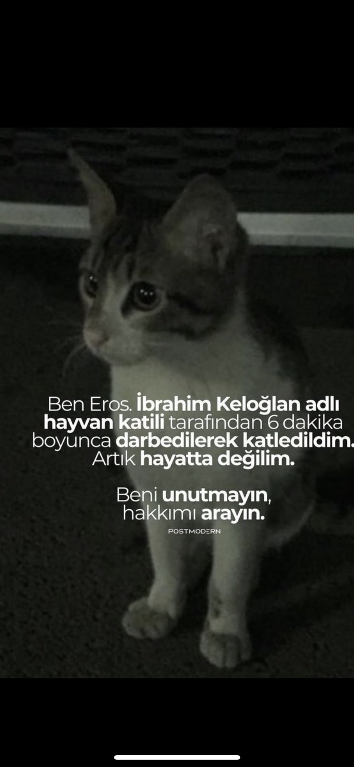 Nasil bu kadar vicdansiz merhametsiz olabiliyor?