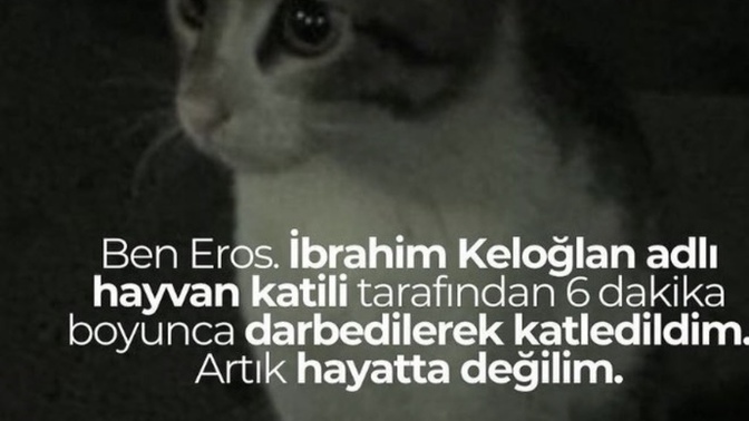 Nasil bu kadar vicdansiz merhametsiz olabiliyor?