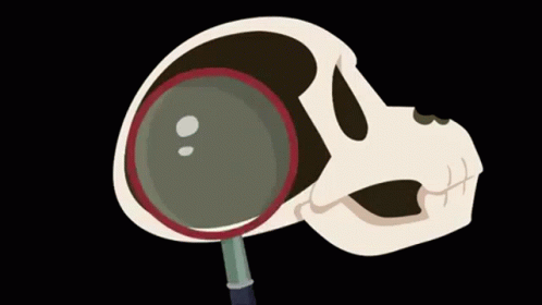 Türk kızları Kore erkeklerini niye çok seviyor?