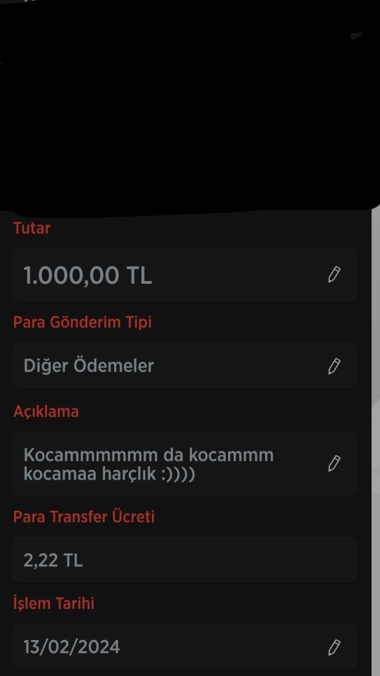 Sevgilinize para gönderir misiniz?