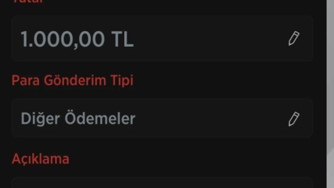 Sevgilinize para gönderir misiniz?