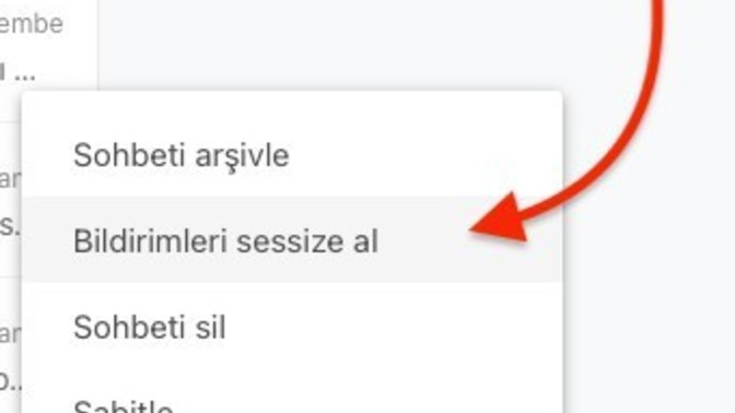 Sevgilinin wp'da seni sessize aldığını görseniz tepkiniz ne olurdu?