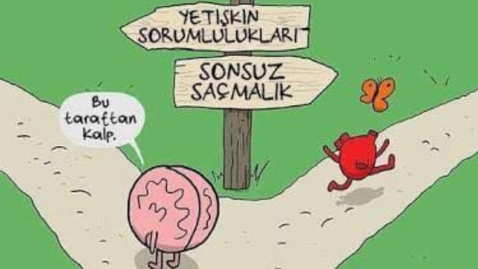 Hayatınız boyunca aldığınız kararlarla kafanızın götürdüğü yere mi gittiniz yoksa kalbinizin götürdüğü yere mi?