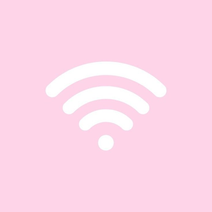 Evinizde wifi var mı?
