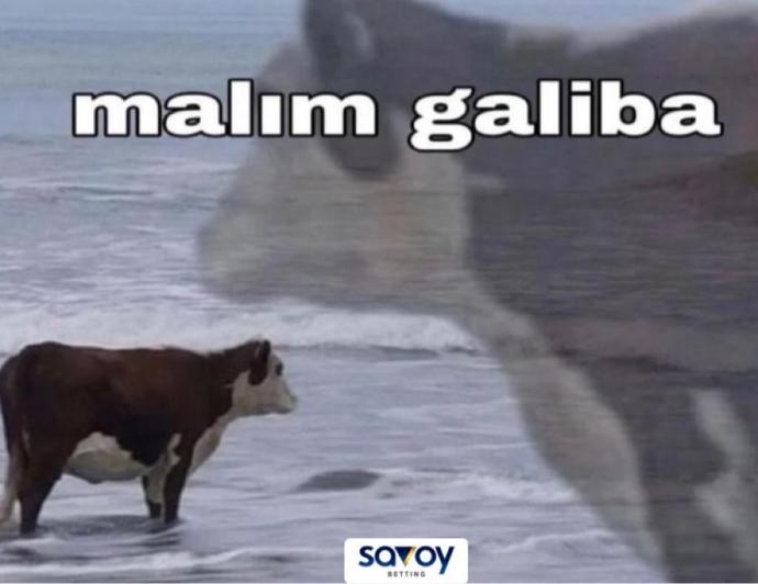 Sadece cinsellik yaşamayalım beraber gezelim vakit geçirelim dedim. Bana yazma dedi. Neden?