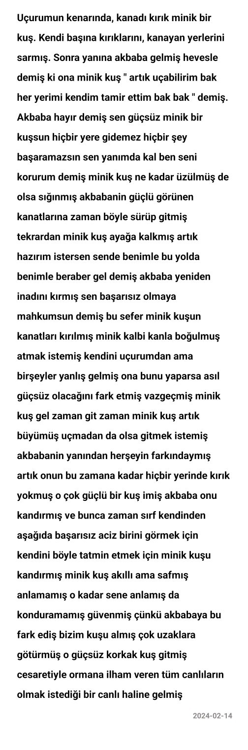 Öyle birşeyler salladım?