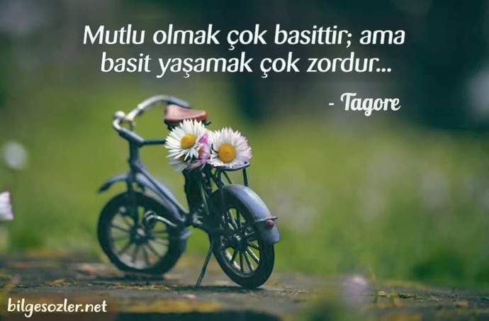Hayatı bir söze sığdır desem ne dersin?