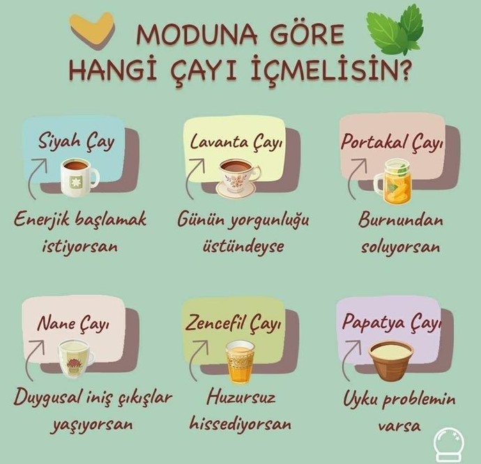 Şu an moduna göre hangi çayı içmelisin?