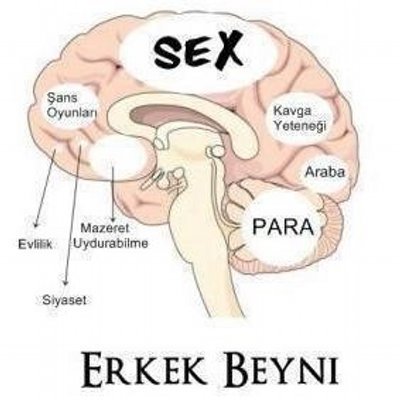 Erkek beyni mi, kız beyni mi daha tuhaf?