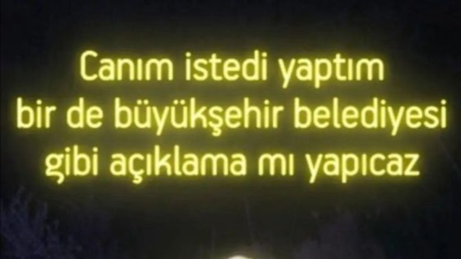 Yaptığınız şeylerin açıklamasını yapar mısın?