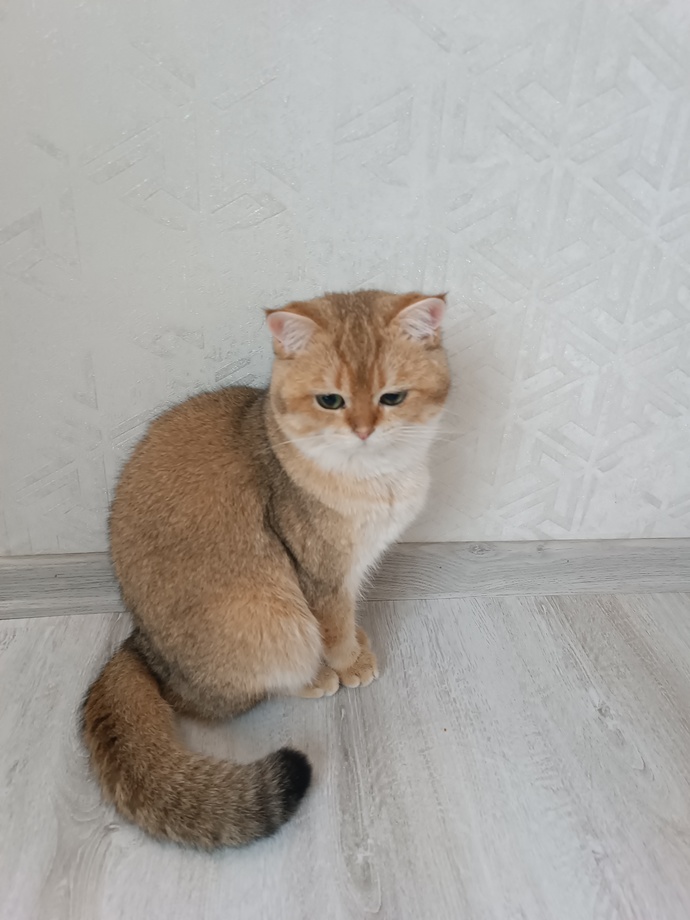 Şuna bak yüzüme bile bakmıyor😏