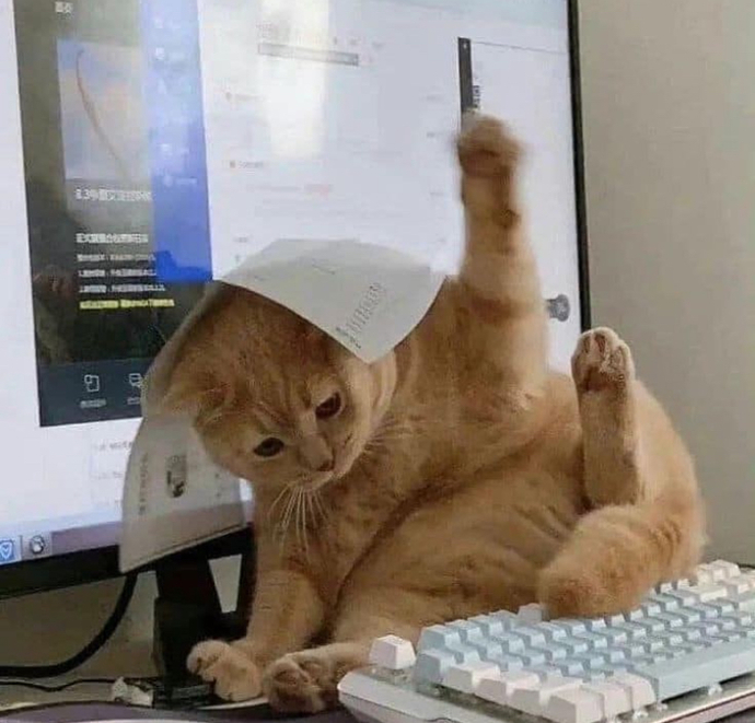 Akıl sağlığınızın hâlâ yerinde mi✨?