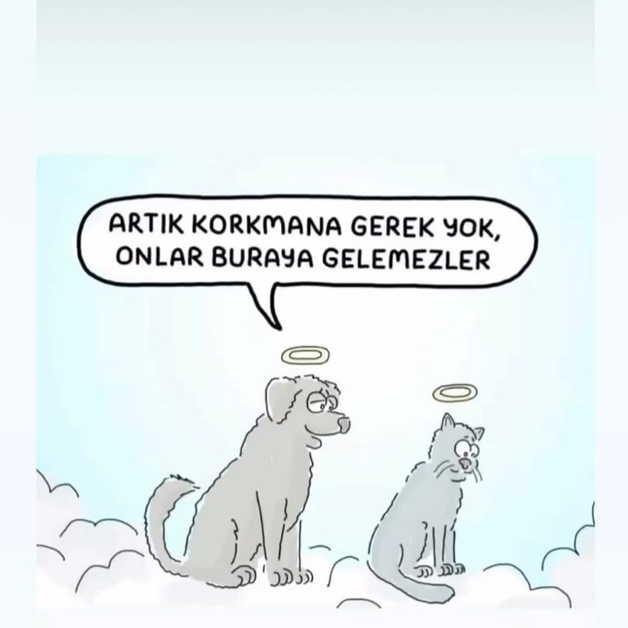 #nirhamm 🔴 🔴 🔴 🔴