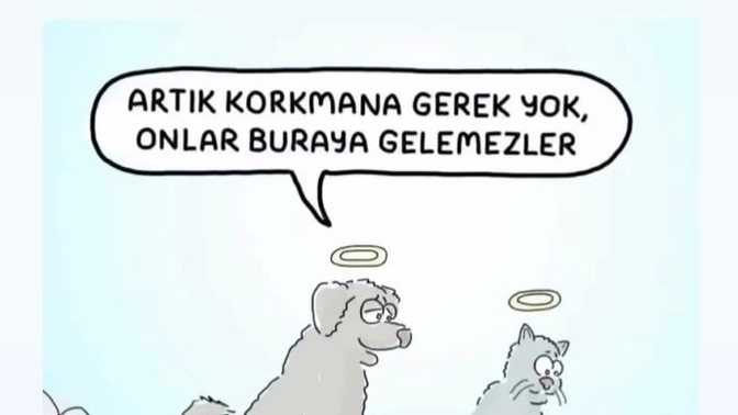 Sokakta ki canlara her zaman sahip çıkar mısın?