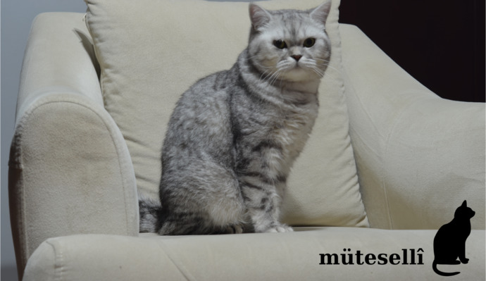 Agâhım.. Yegâne Dostum, Mutluluğum.