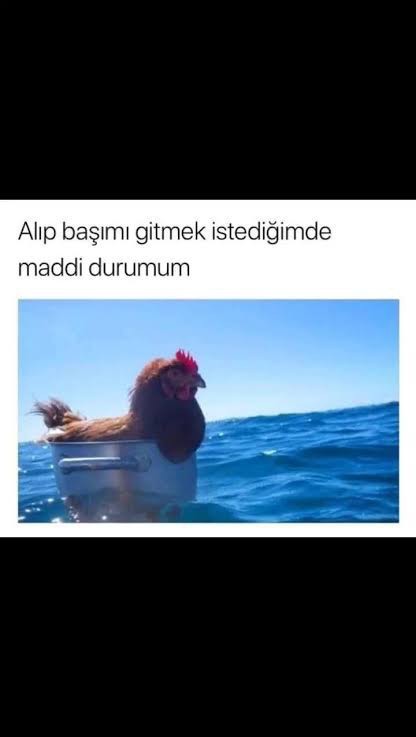 Tek bir uçak bileti hakkın olsa nereye giderdin?