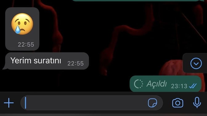 Yeni evli birine aşık olmak kötü mü?