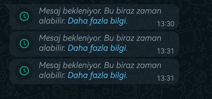 Wpyi sildiğim dönem biri mesaj atıp emgellemiş beni mesajda mesaj bekleniyor zaman alabilir diyor bu mesaj gelir mi gelmez mi?