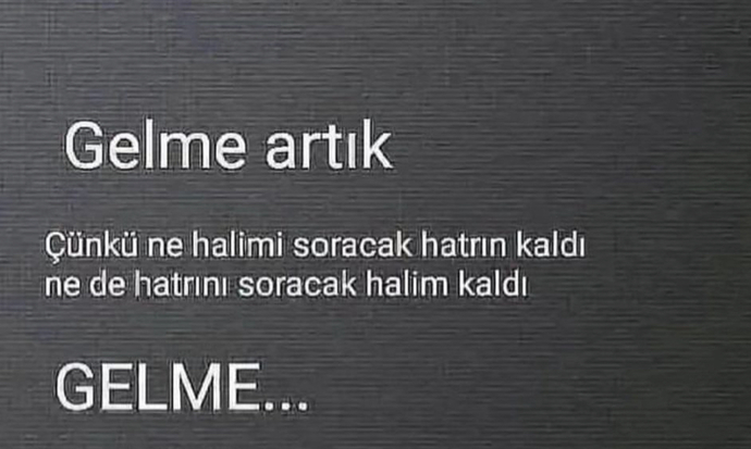 Giden neden gelmesin?