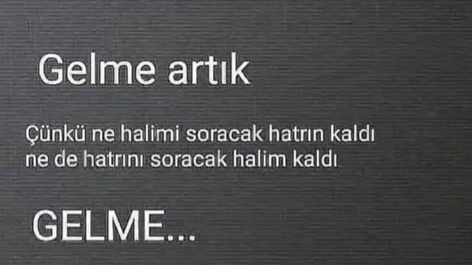 Giden neden gelmesin?