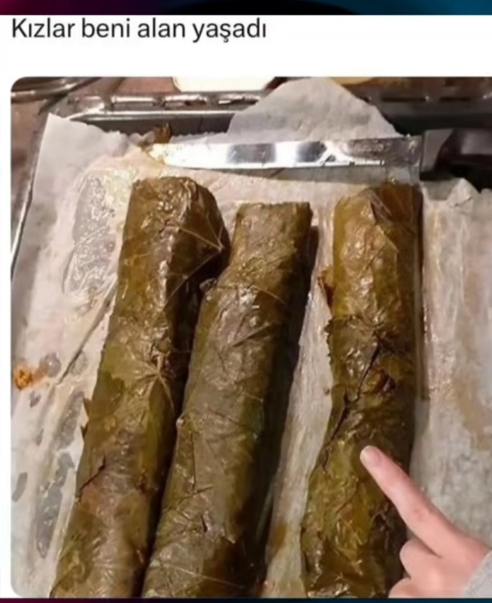 Sarma yaptım a dostlar beni alan yaşadı değil mi?