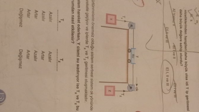 Rica etsem şu iki soruya bakar mısınız?