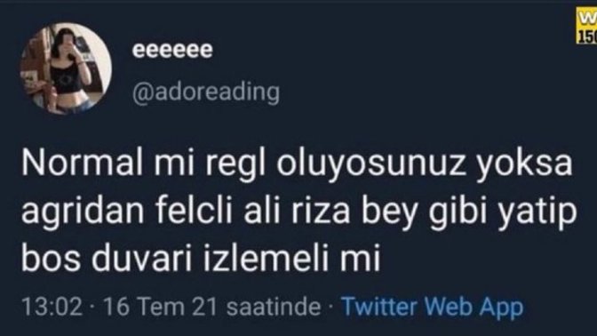Normal Regl mi olursunuz, yoksa ali rıza bey'in felçli hali gibi yatalak şekilde mi?