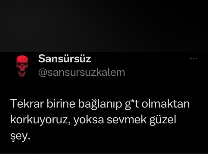 Sevmek güzel şey mi sizce?
