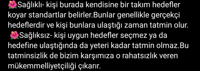 Mükemmelliyetçi bir yapıya sahip misiniz? Bu mükemmelliyetçi türlerinden hangisi size uygun?