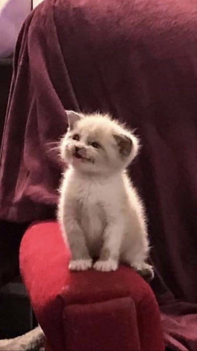 Yarın benim yerime kim Ruh Sağlığı ve Hastalıkları dersine gitmek ister 🌝?