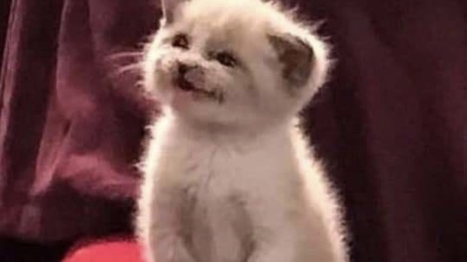 Yarın benim yerime kim Ruh Sağlığı ve Hastalıkları dersine gitmek ister 🌝?